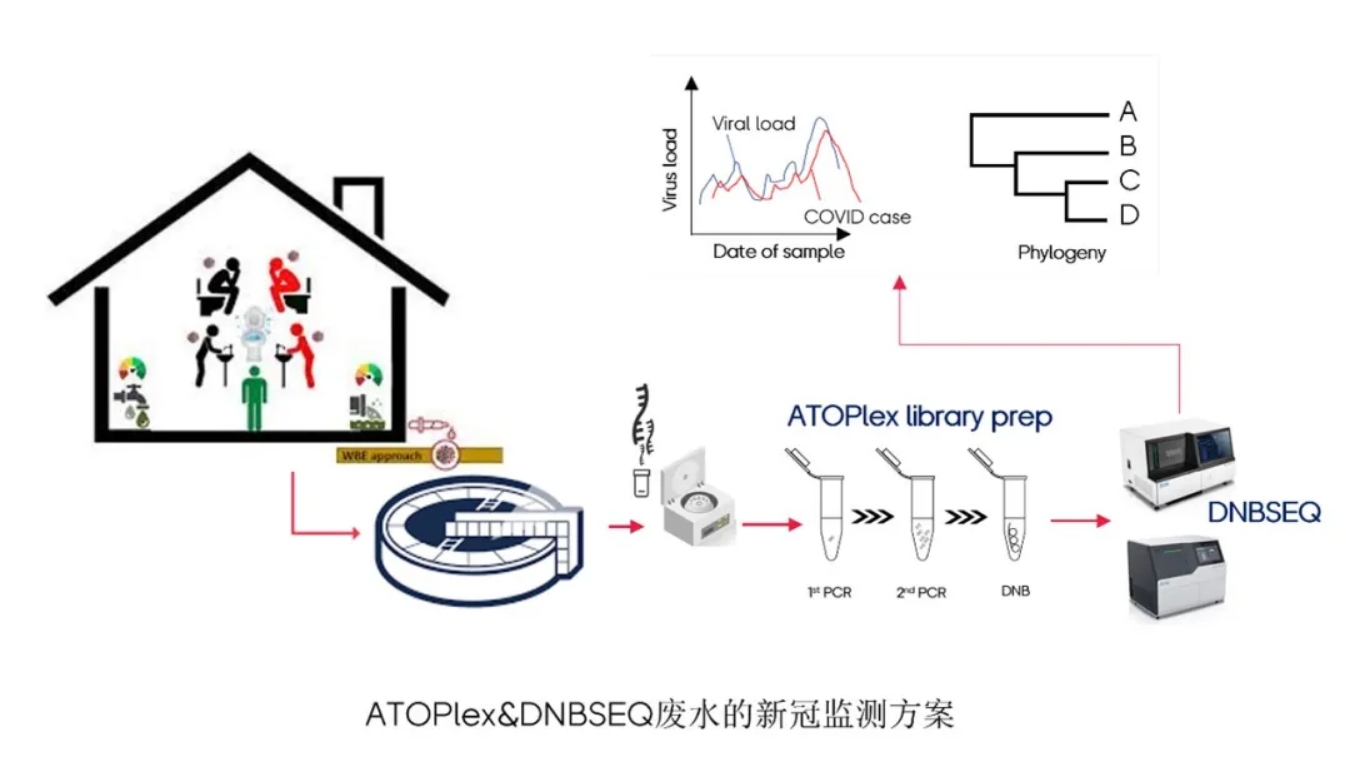 在南非廢水發現Omicron！華大智造ATOPlex技術 + DNBSEQ平臺革新廢水流行病學研究方法